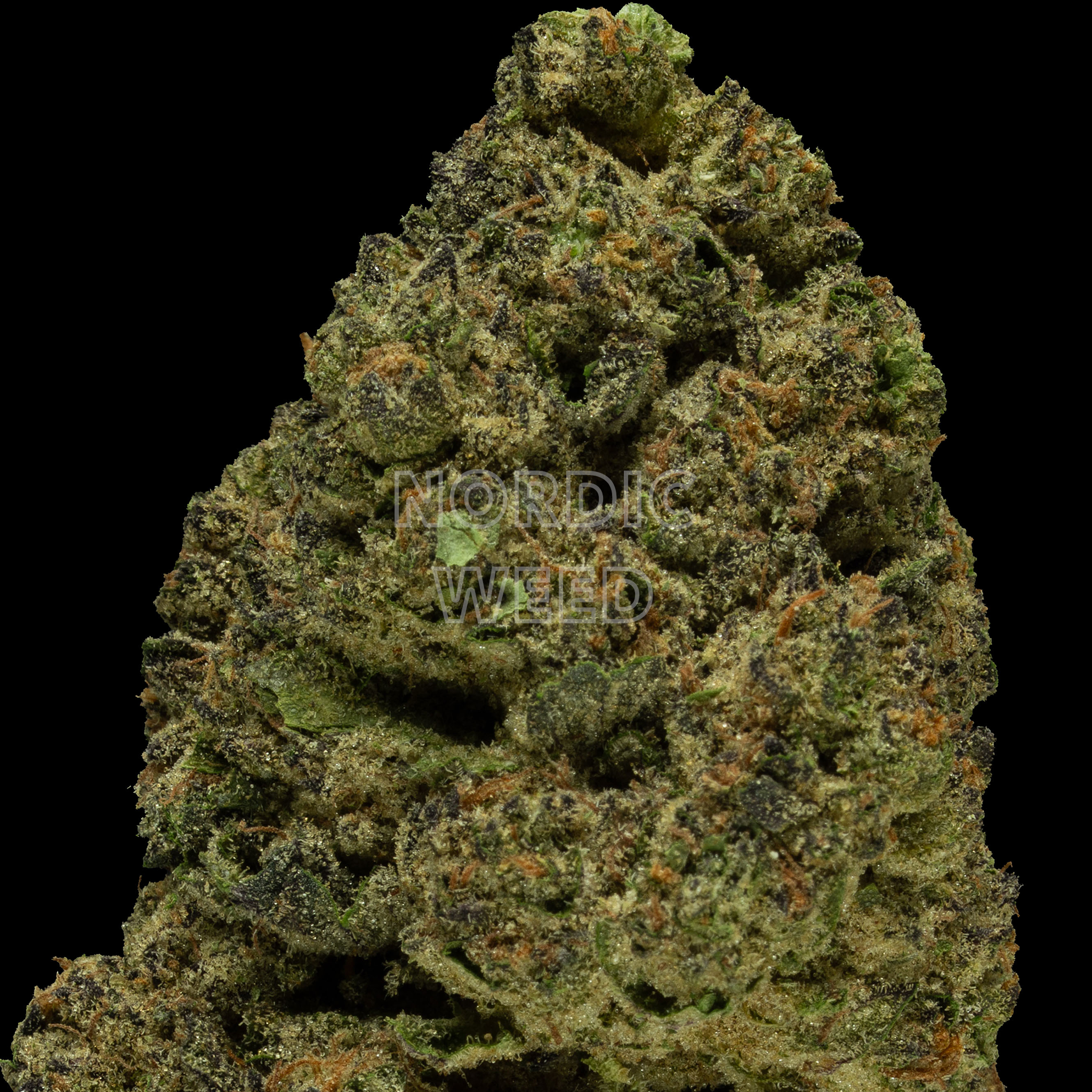 Cookies & Creams - 31% THCA