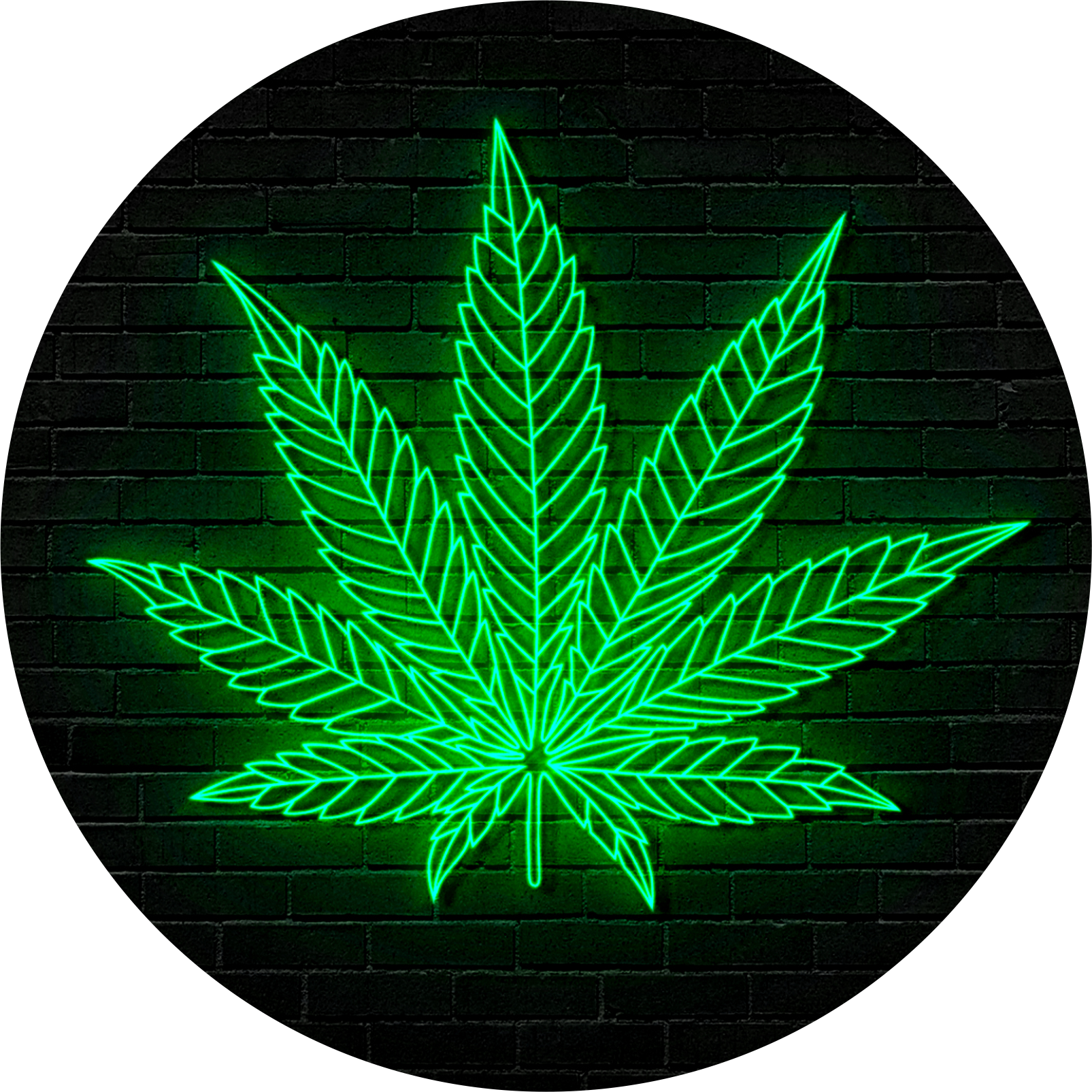 thc cannabis blad nordicweed