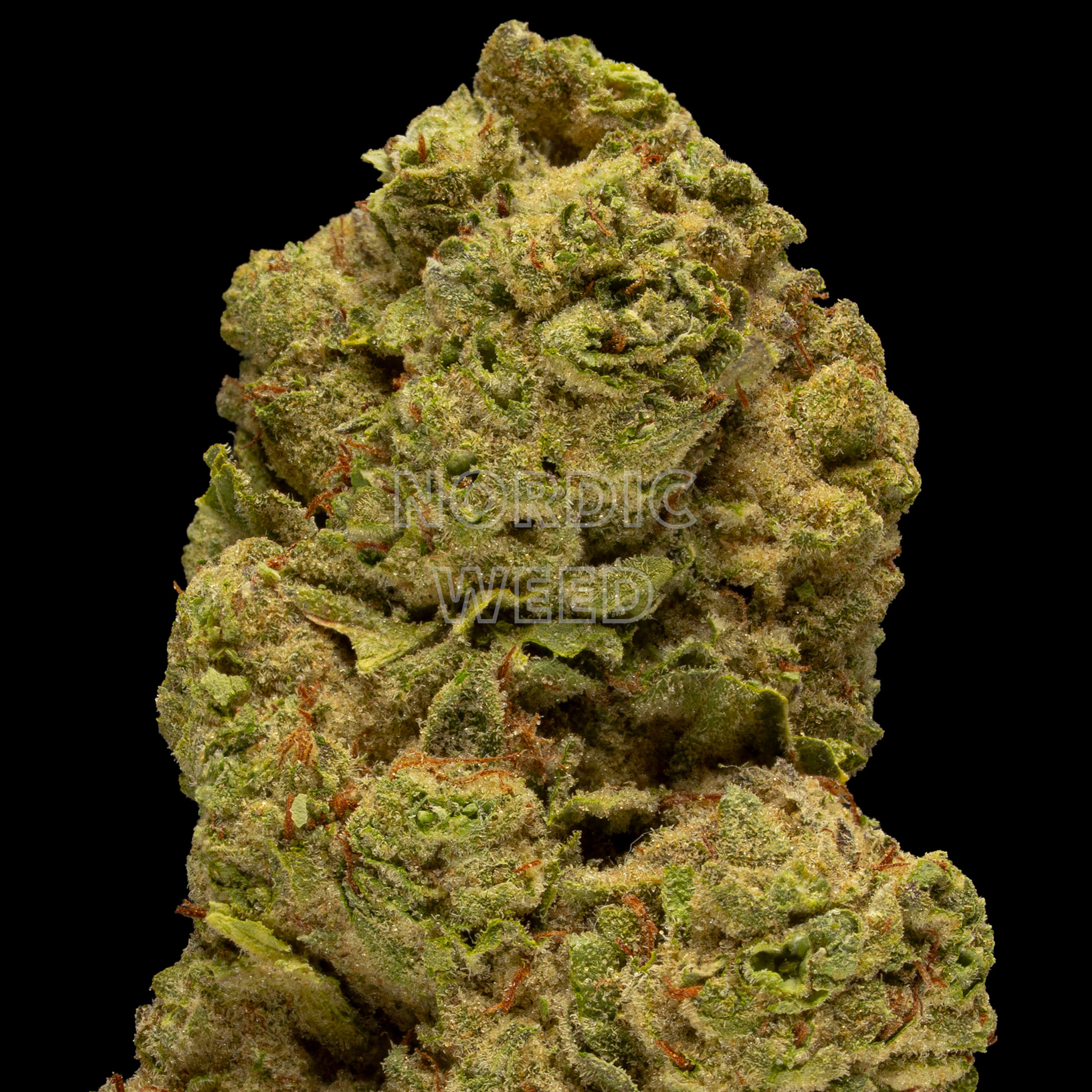 Gorilla Glue - 28.5% THCA