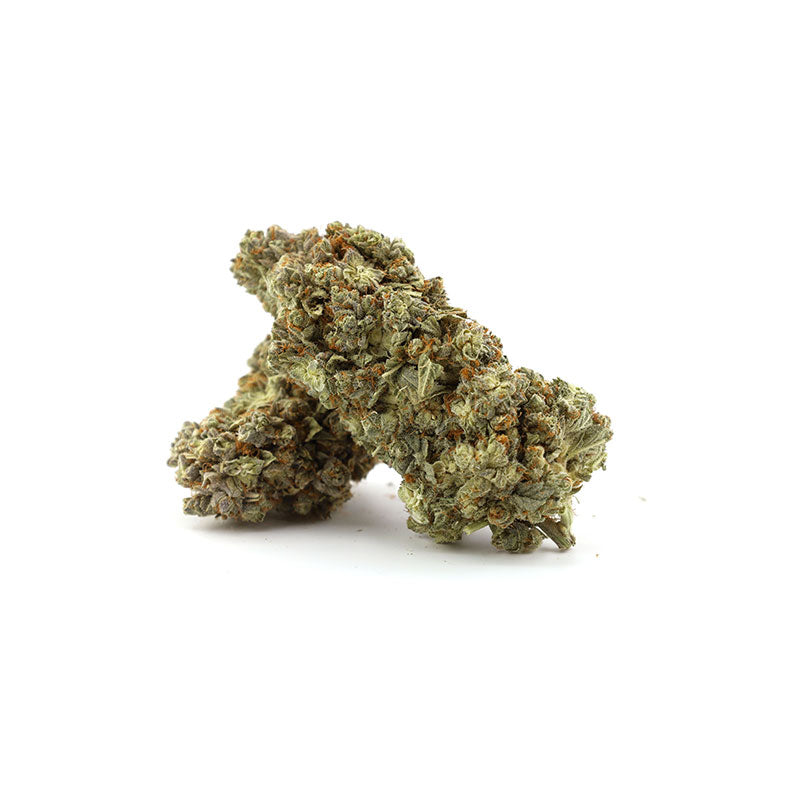 Pineapple Express - 2.7% CBD Cannabis danmark - CBD topskud weed shop din cannabis nordicweed