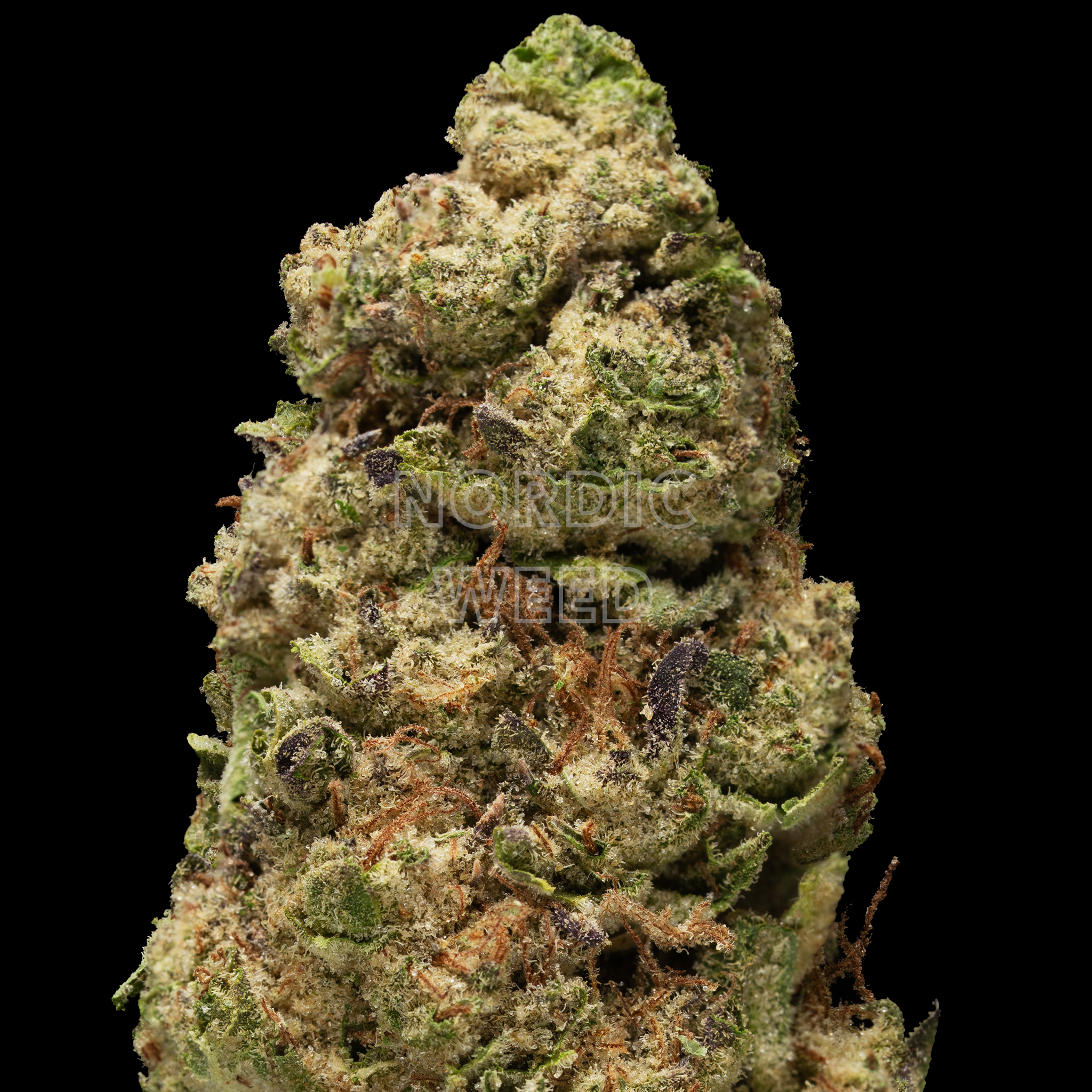 High Octane - 34% THCA