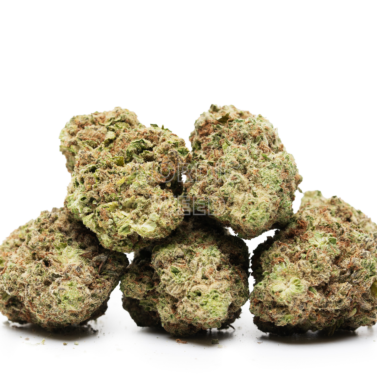 The Creature - 27% THCA
