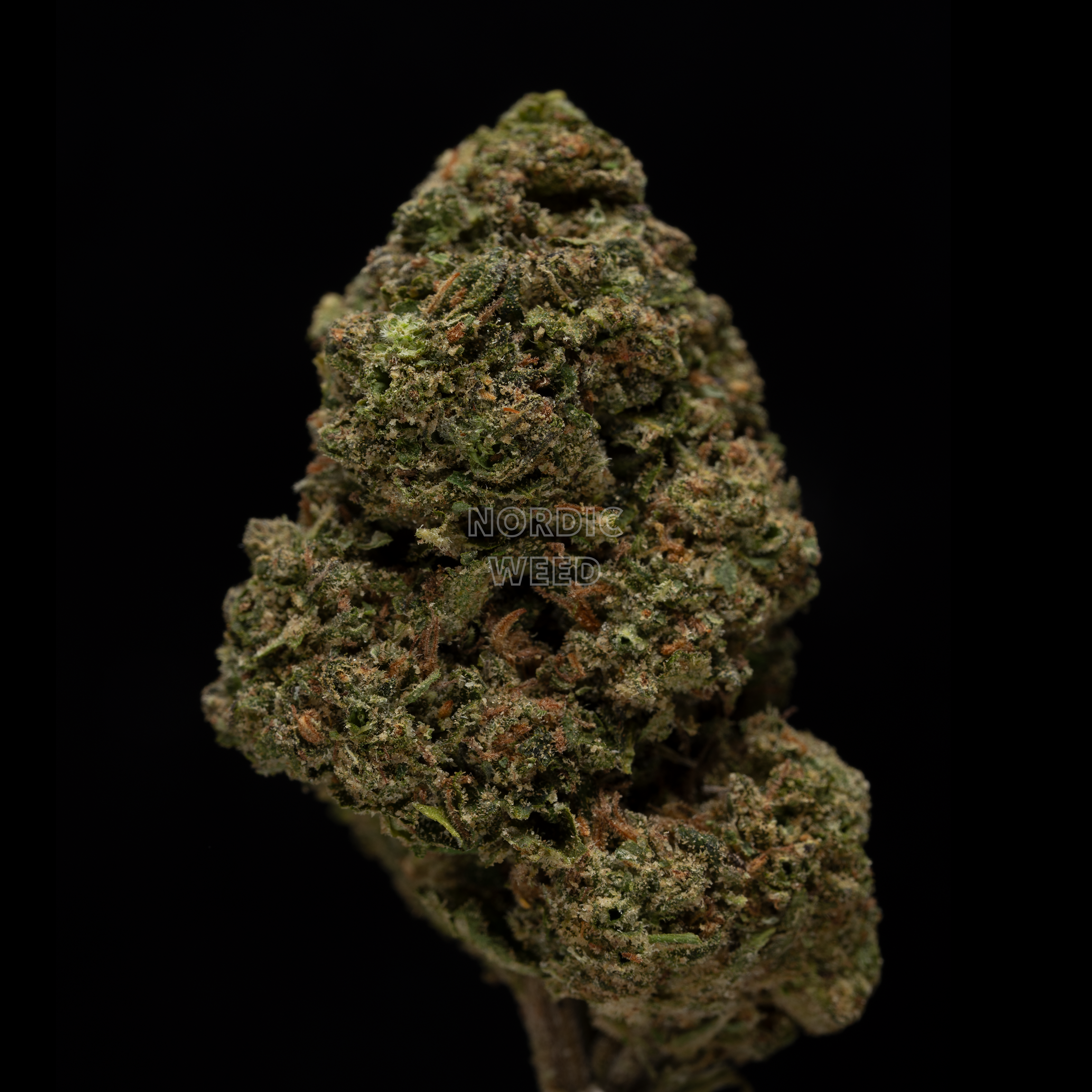 Grapple Pie - 22.5% THCA