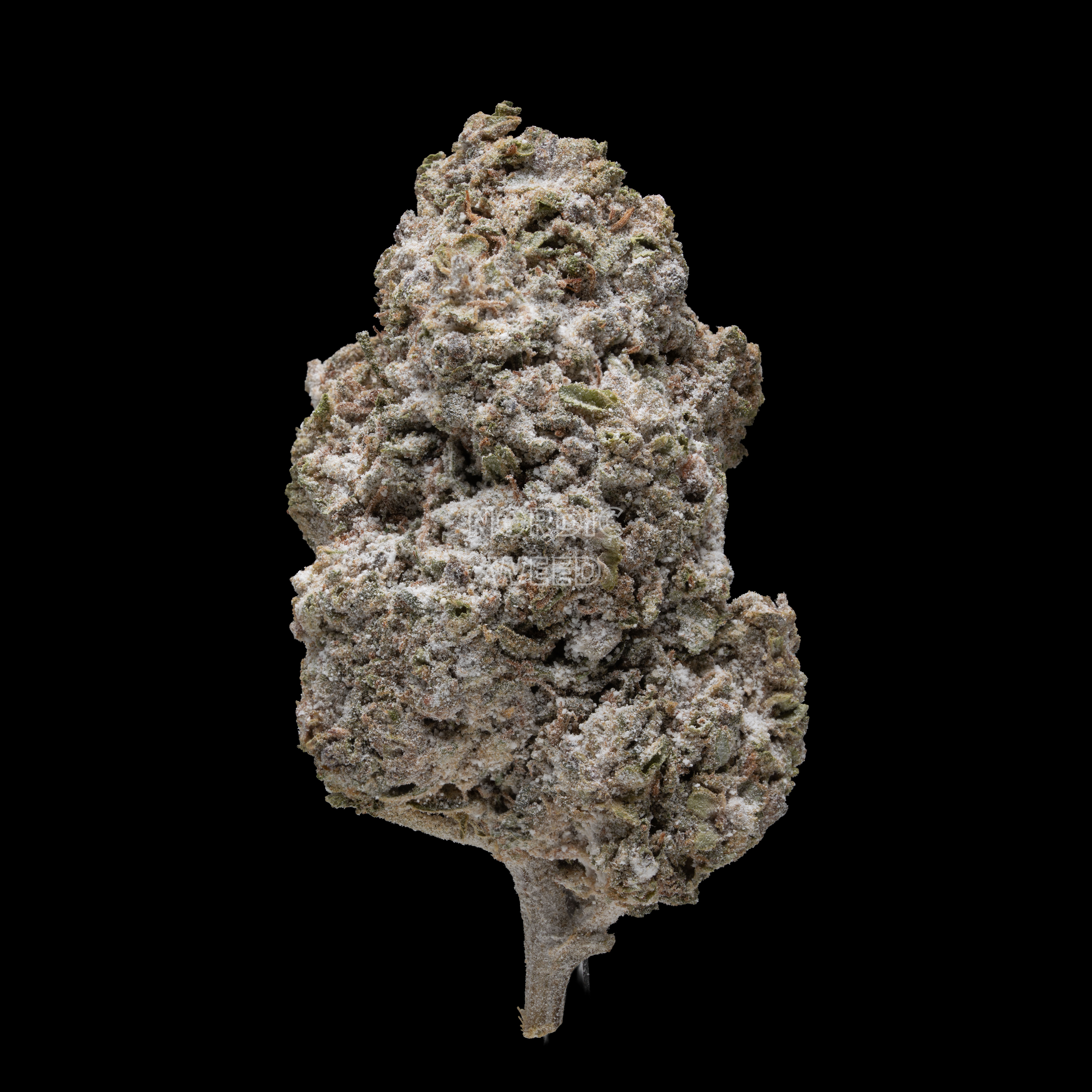 Royal Haze - 25% THCA