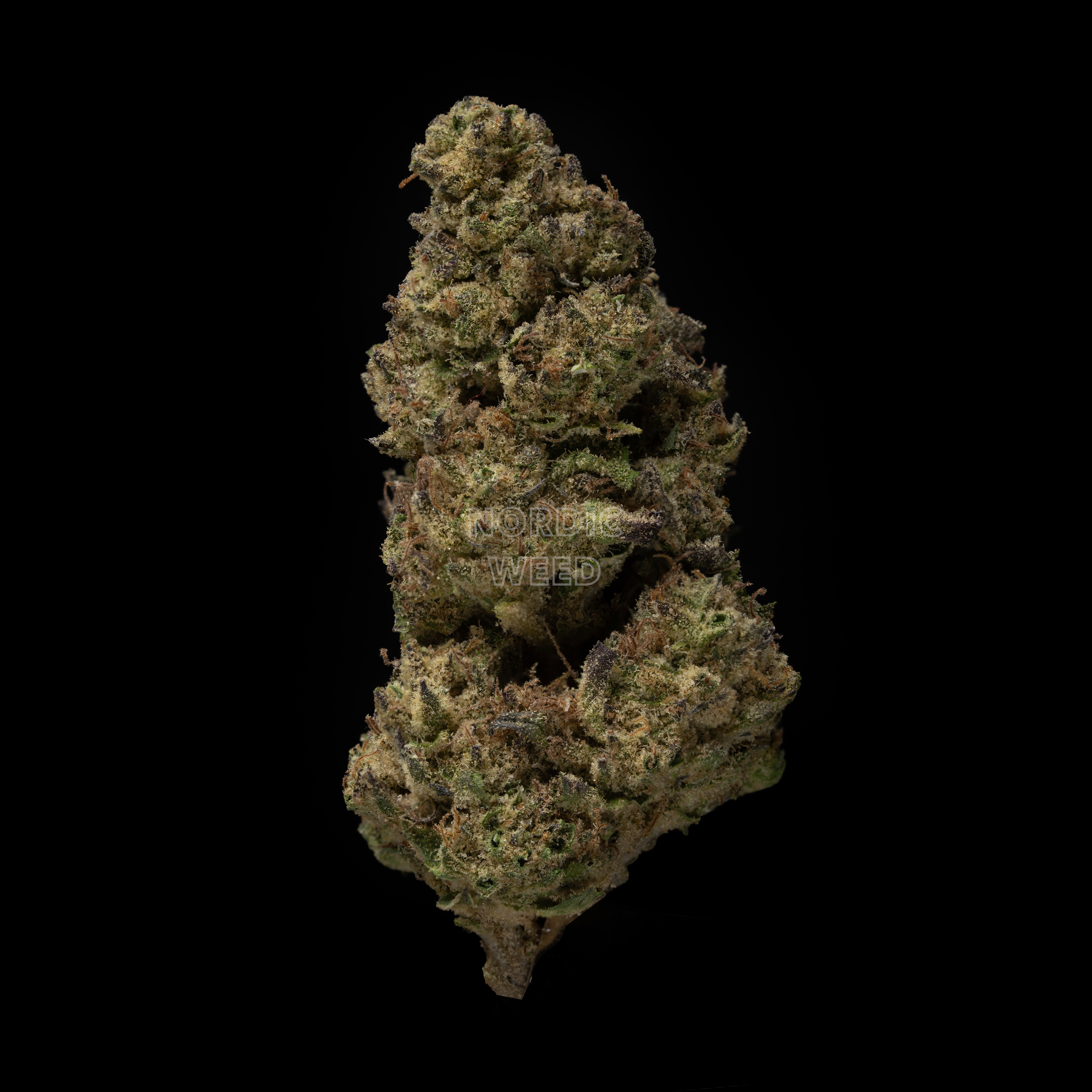 Super Lemon Haze - 25% THCA