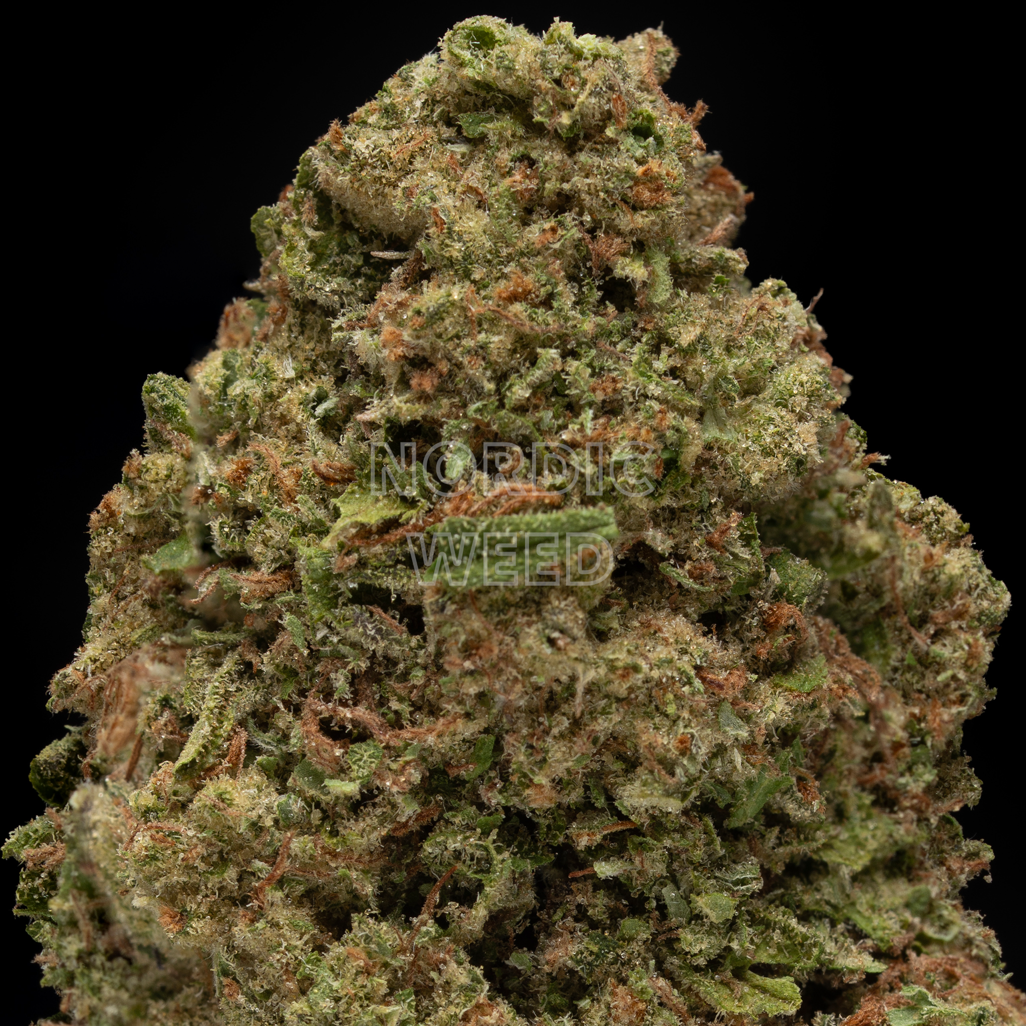 White Runtz - 27% THCA