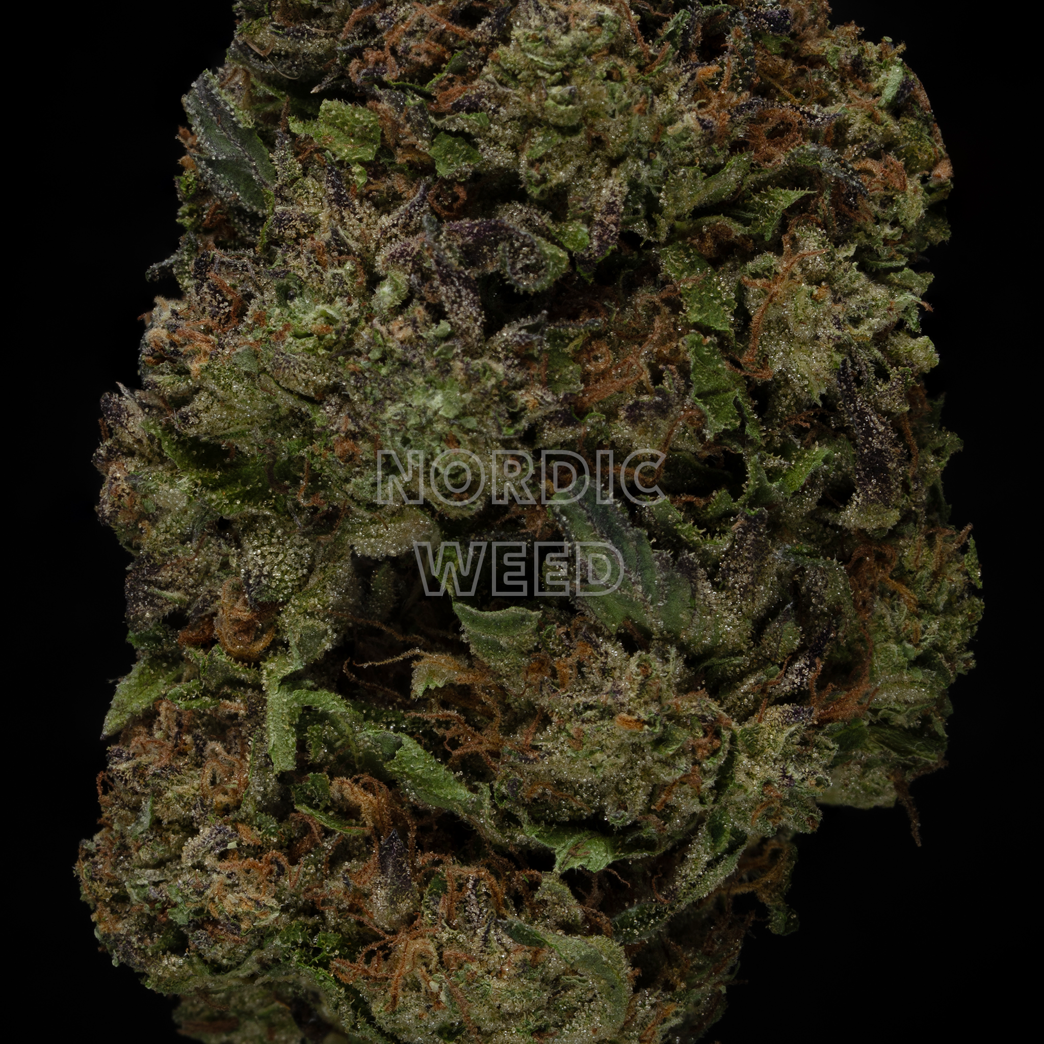 Ice Cream Cake - 28% THCA