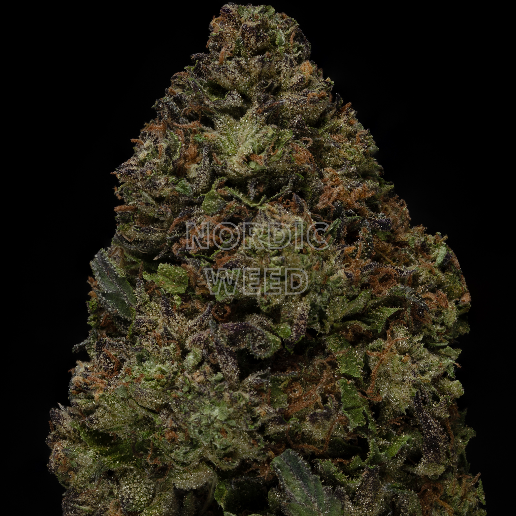 Ice Cream Cake - 28% THCA