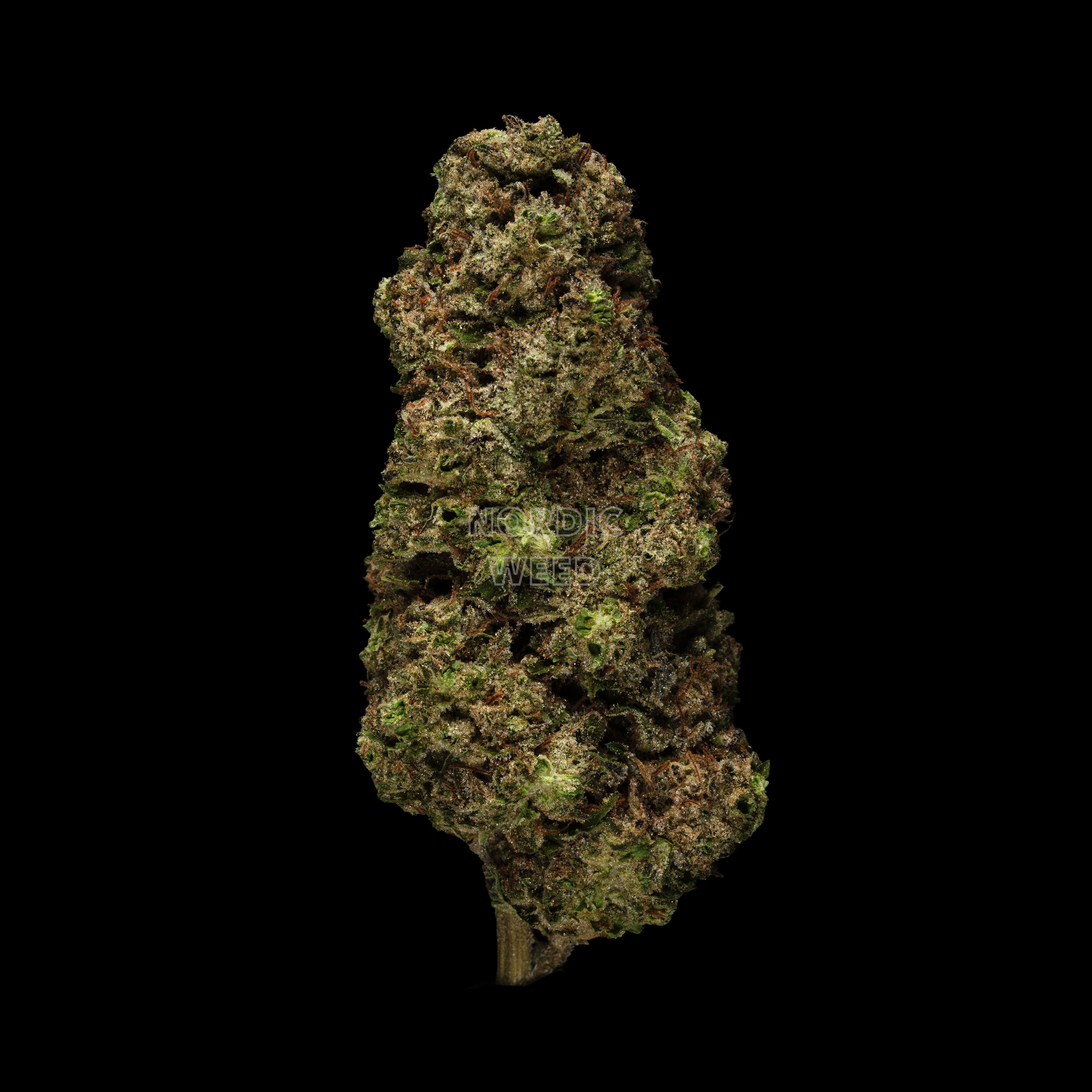 Hash burger - 28.5% THCA