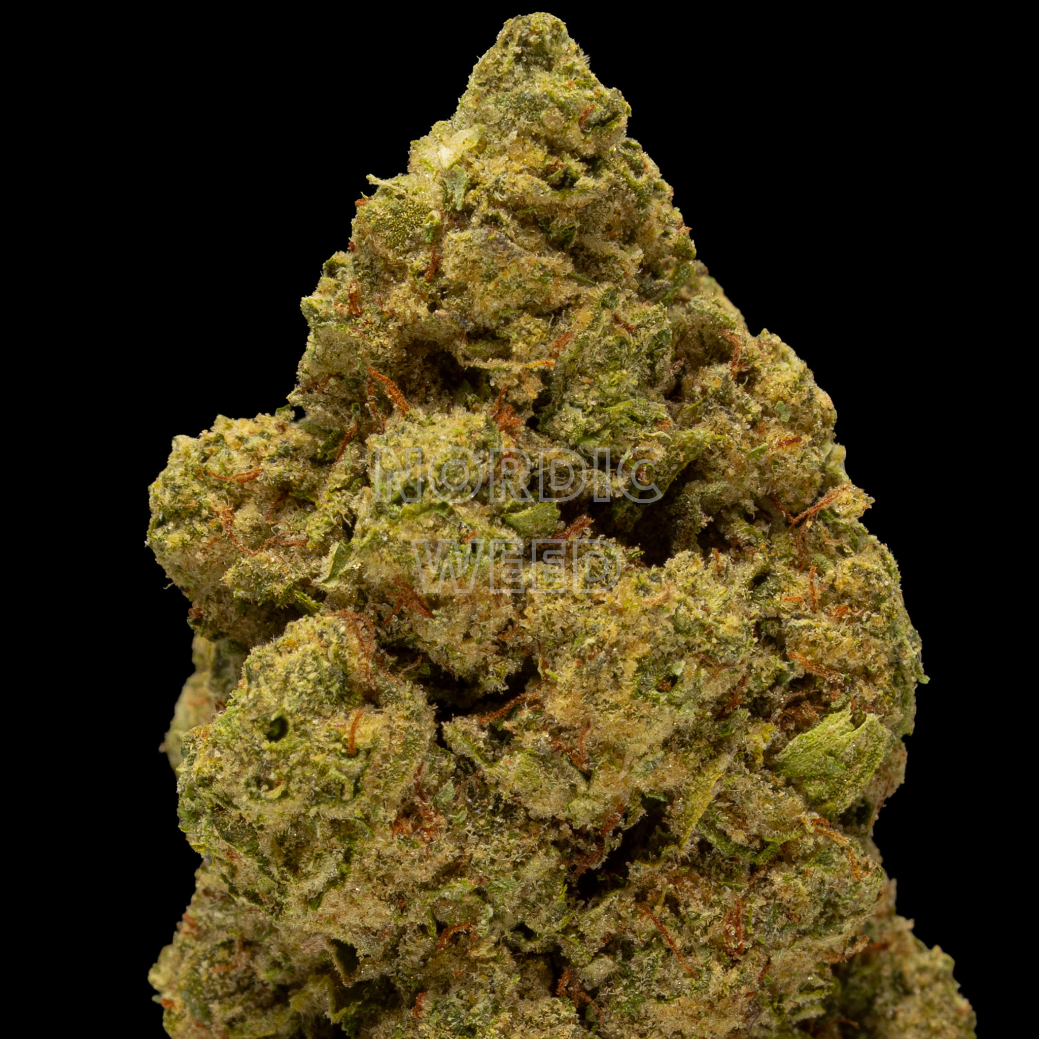 Baby Yoda - 24% THCA