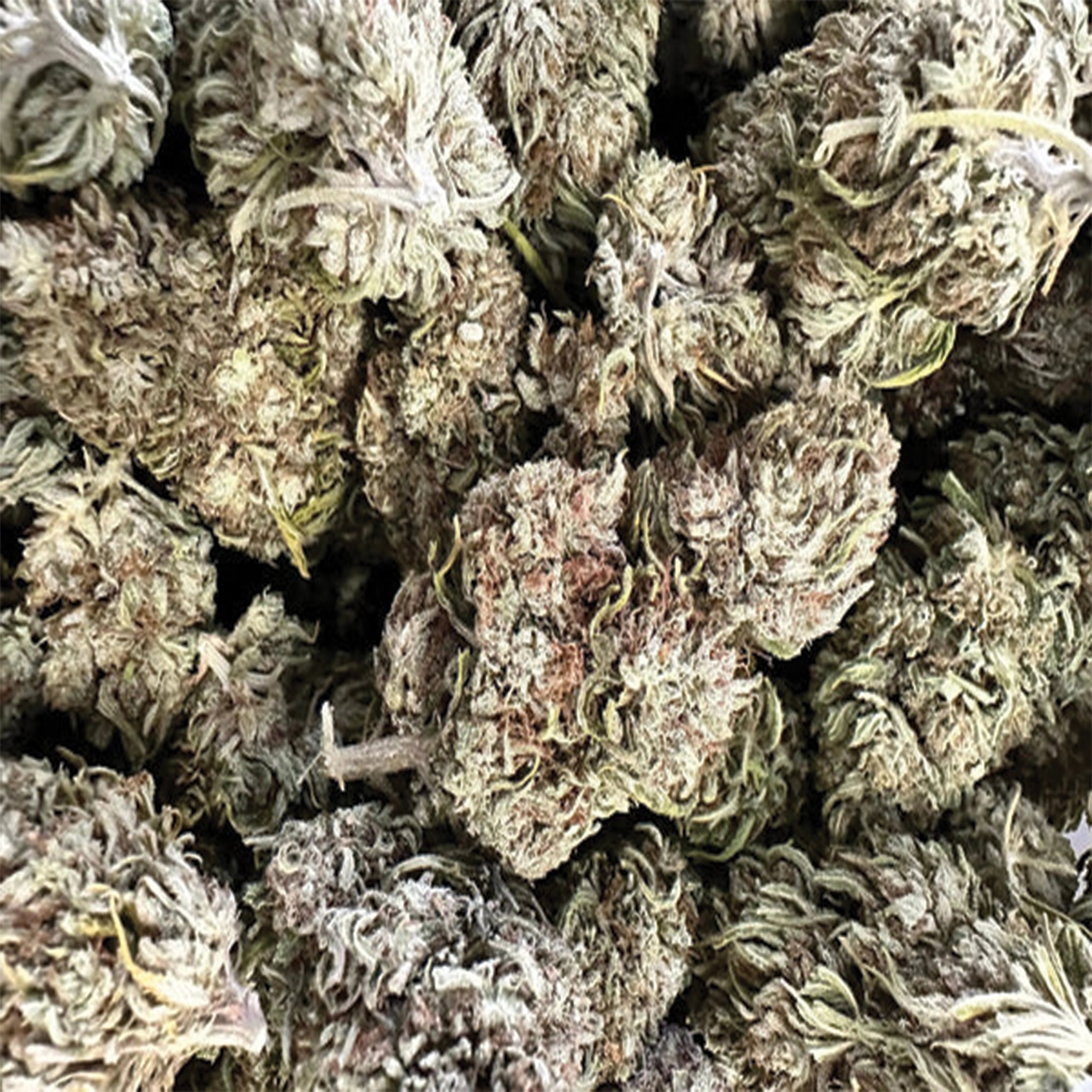 cbg skunk top skud