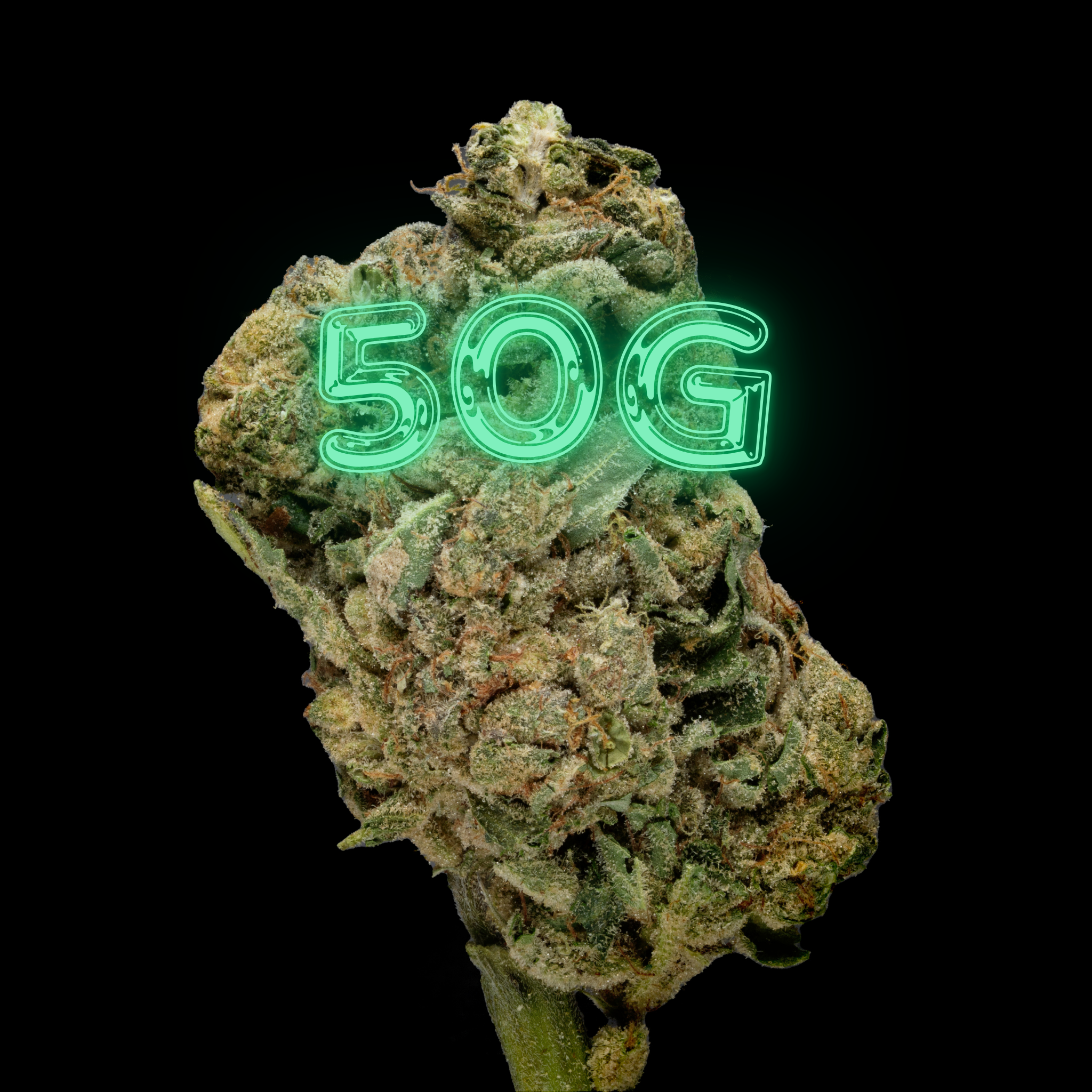 THCA Gary Payton 50G