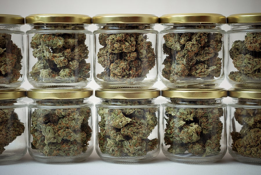 lovlig hash danmark, lovlig weed danmark, skunk