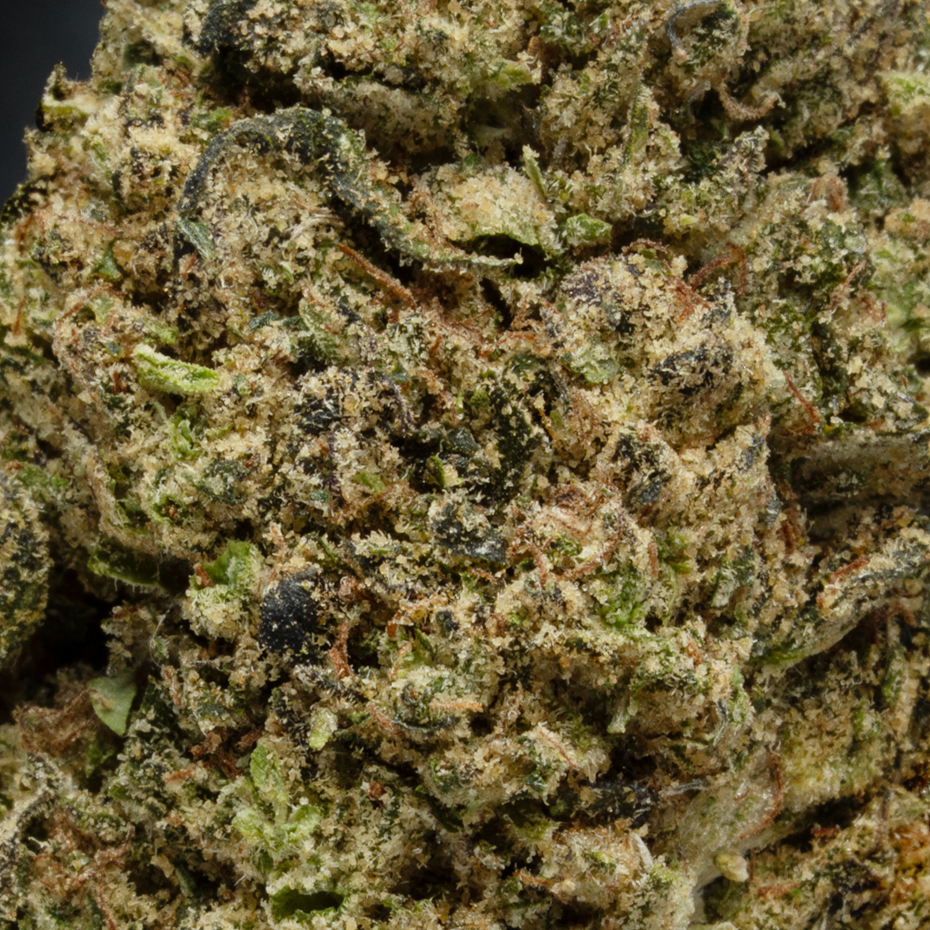 thca danmark topskud hash weed shop din cannabis Nordicweed