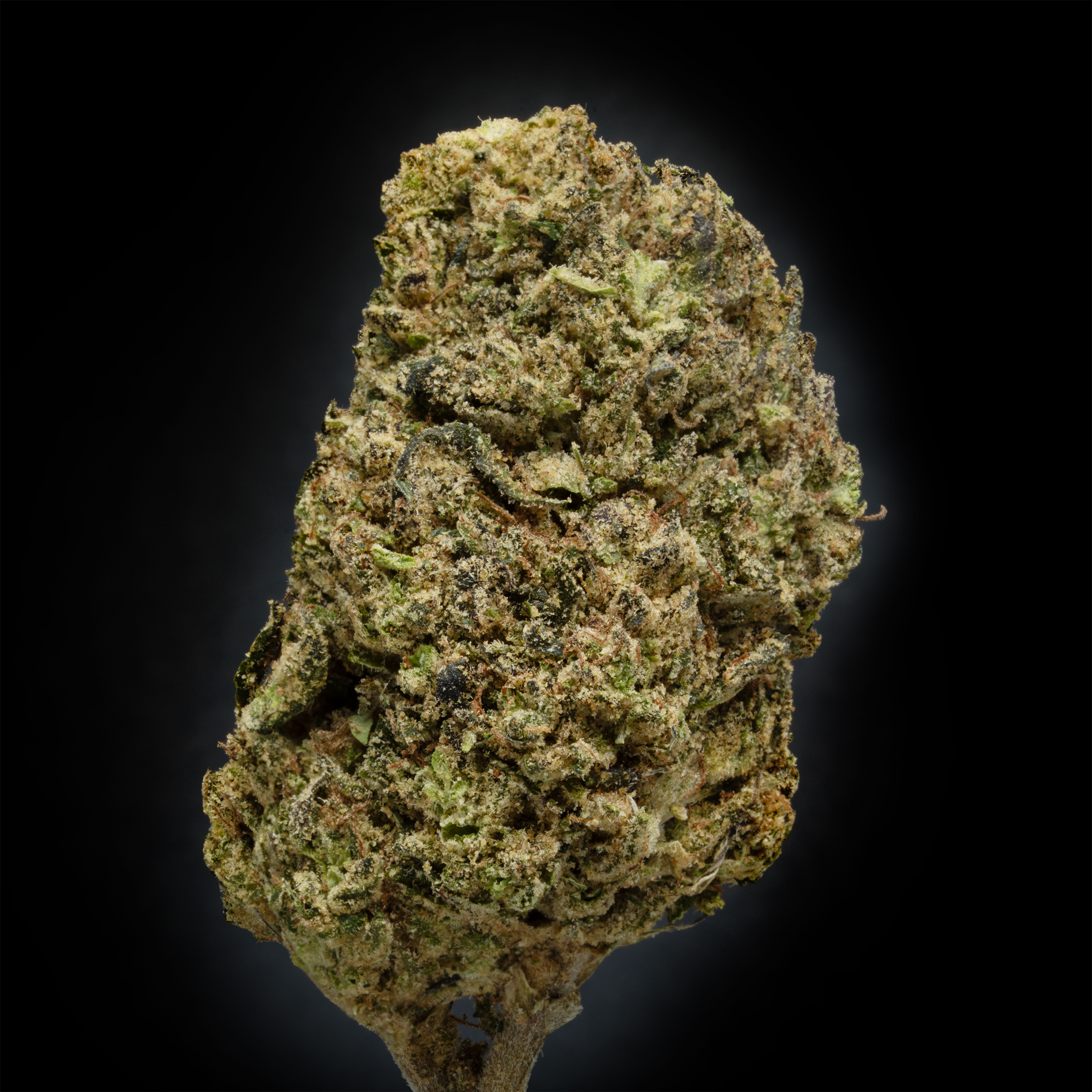 thca danmark topskud hash weed shop din cannabis Nordicweed