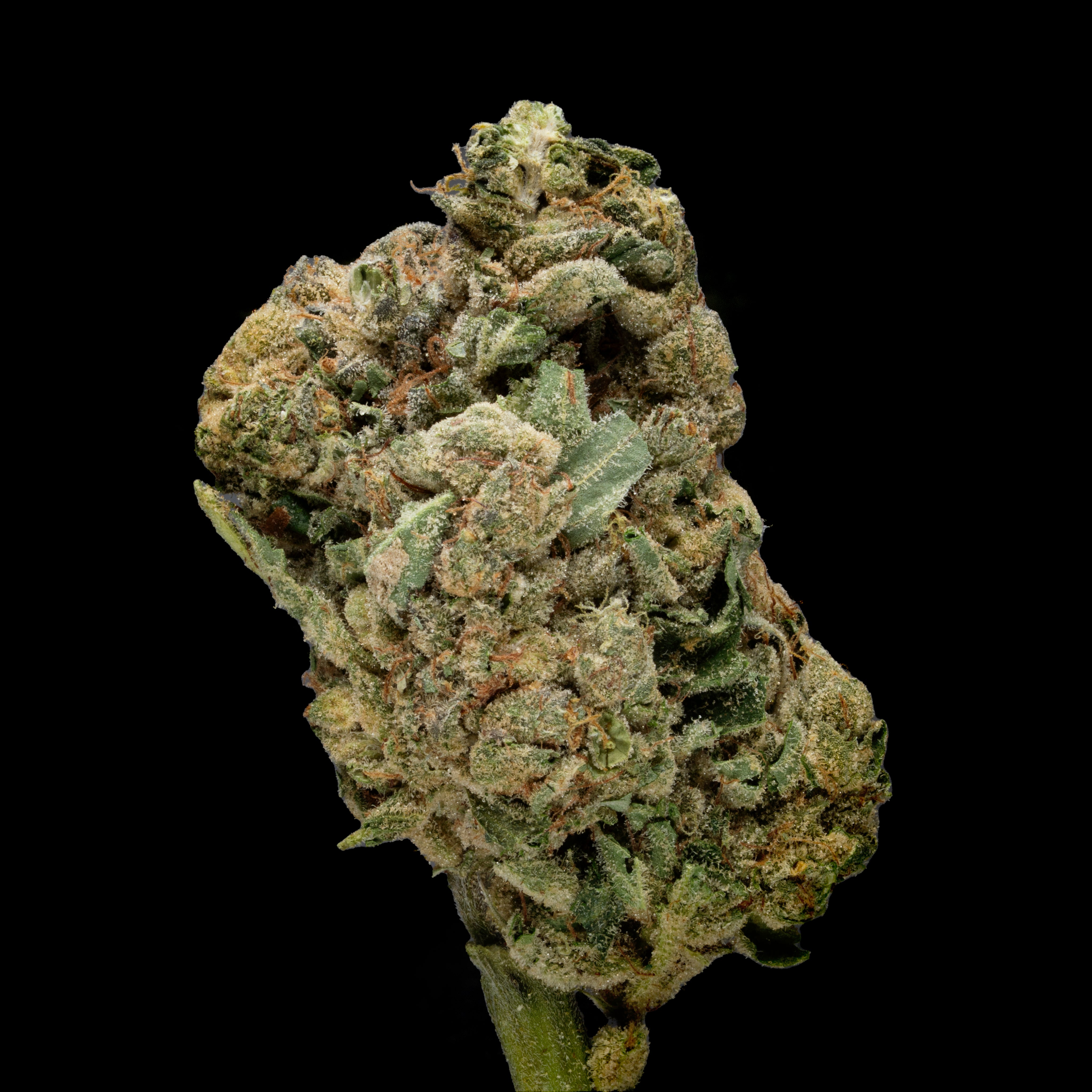 thca danmark topskud hash weed shop din cannabis Nordicweed