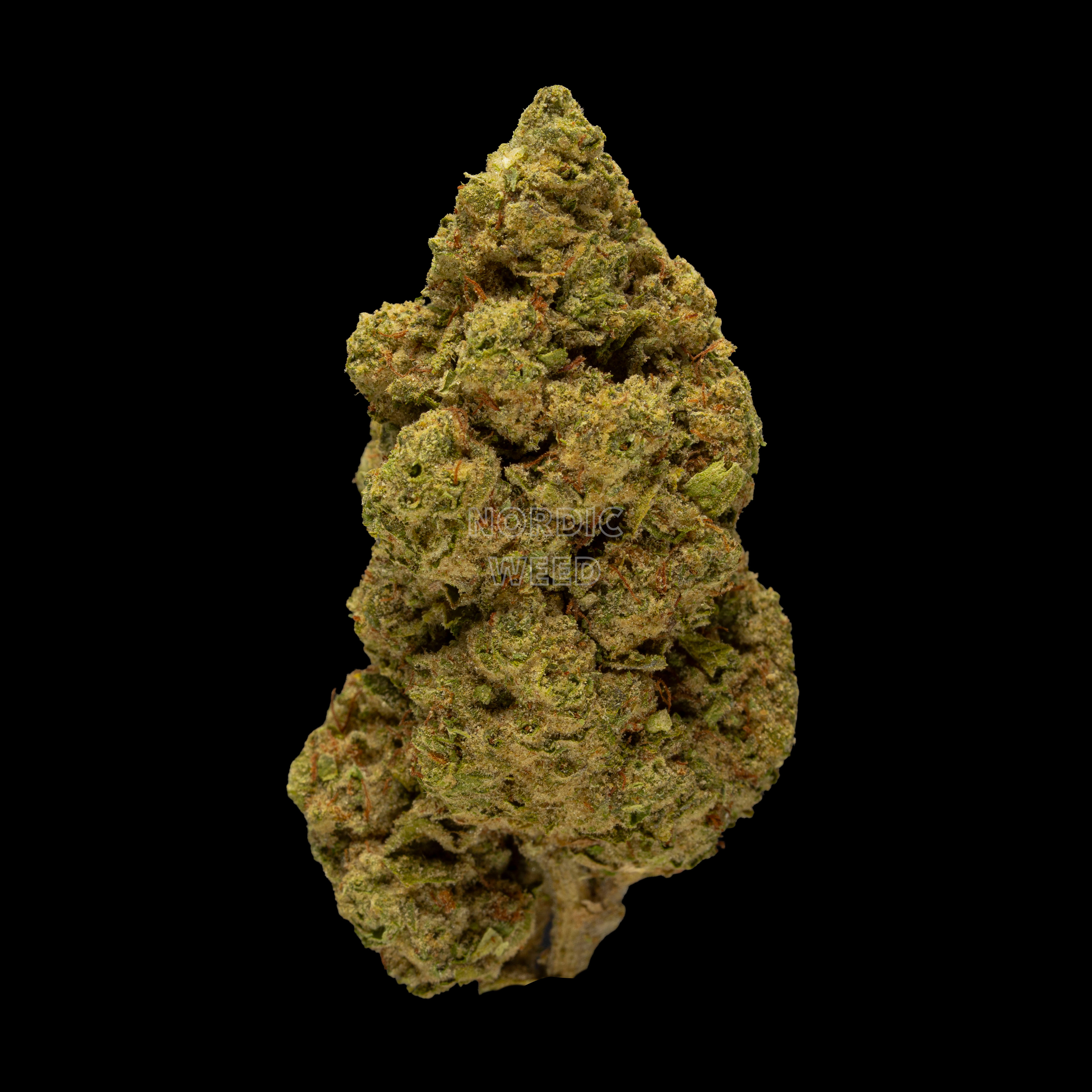 Baby Yoda - 24% THCA