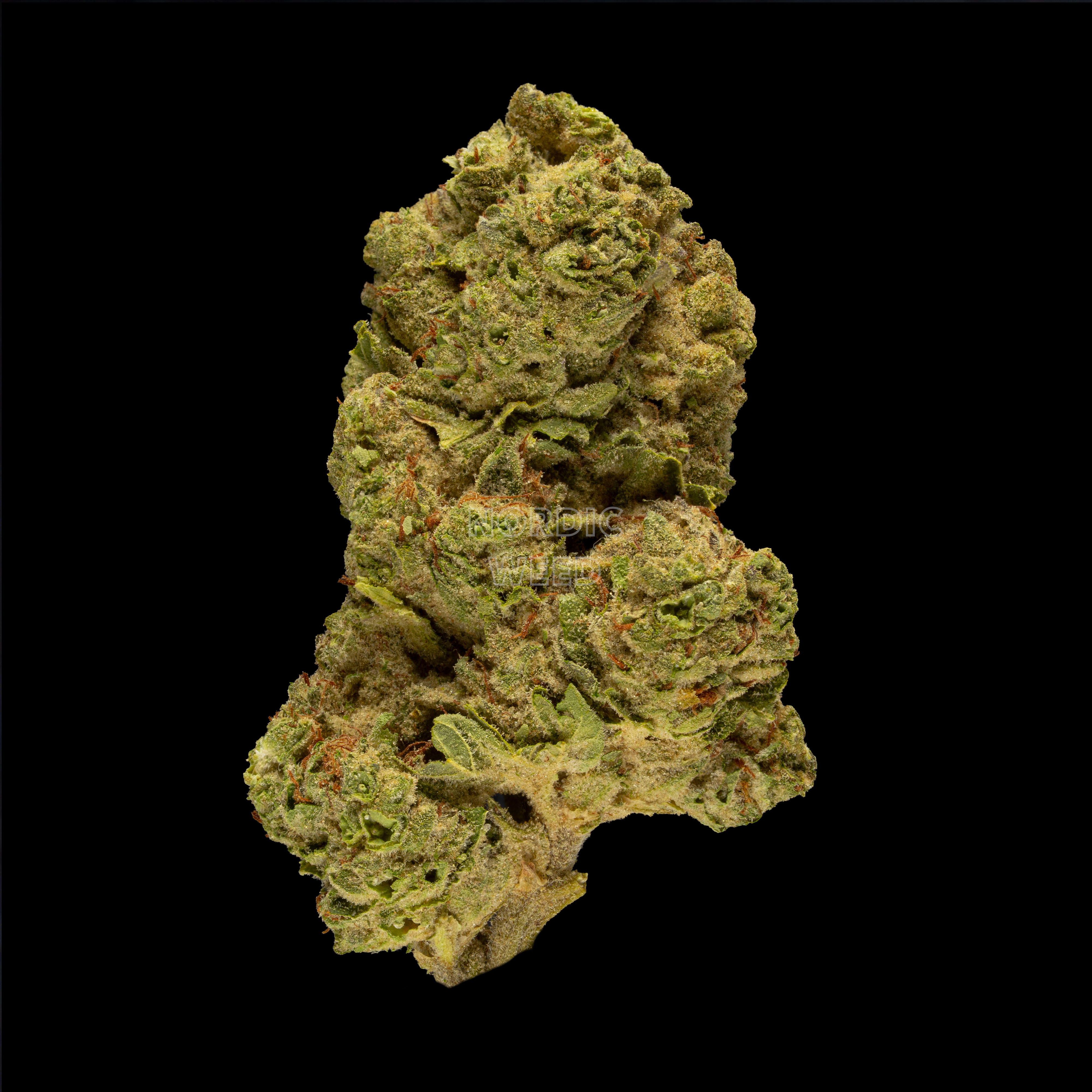 Gorilla Glue - 28.5% THCA