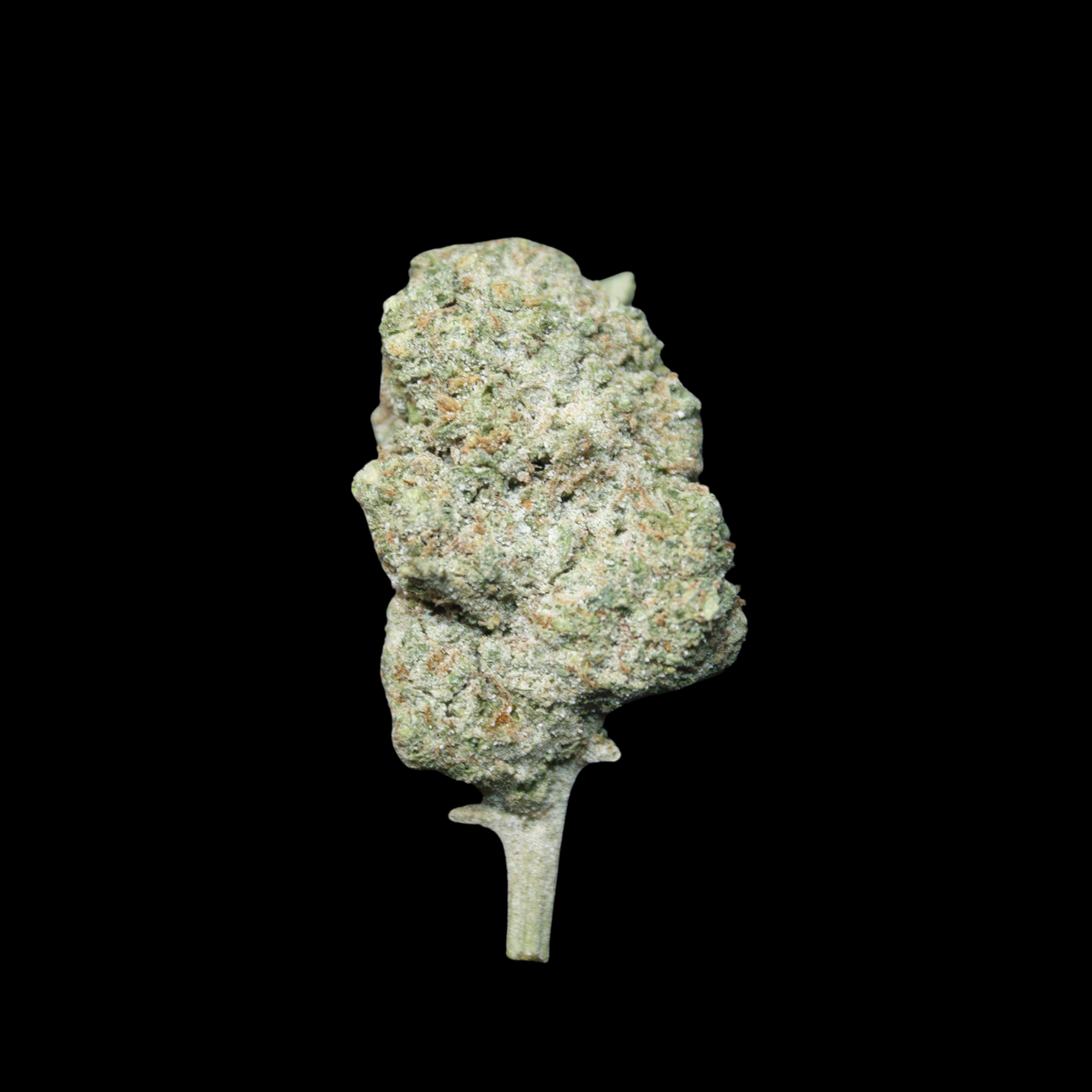 thca danmark lovlig hash - weed shop din hash hos nordicweed.dk