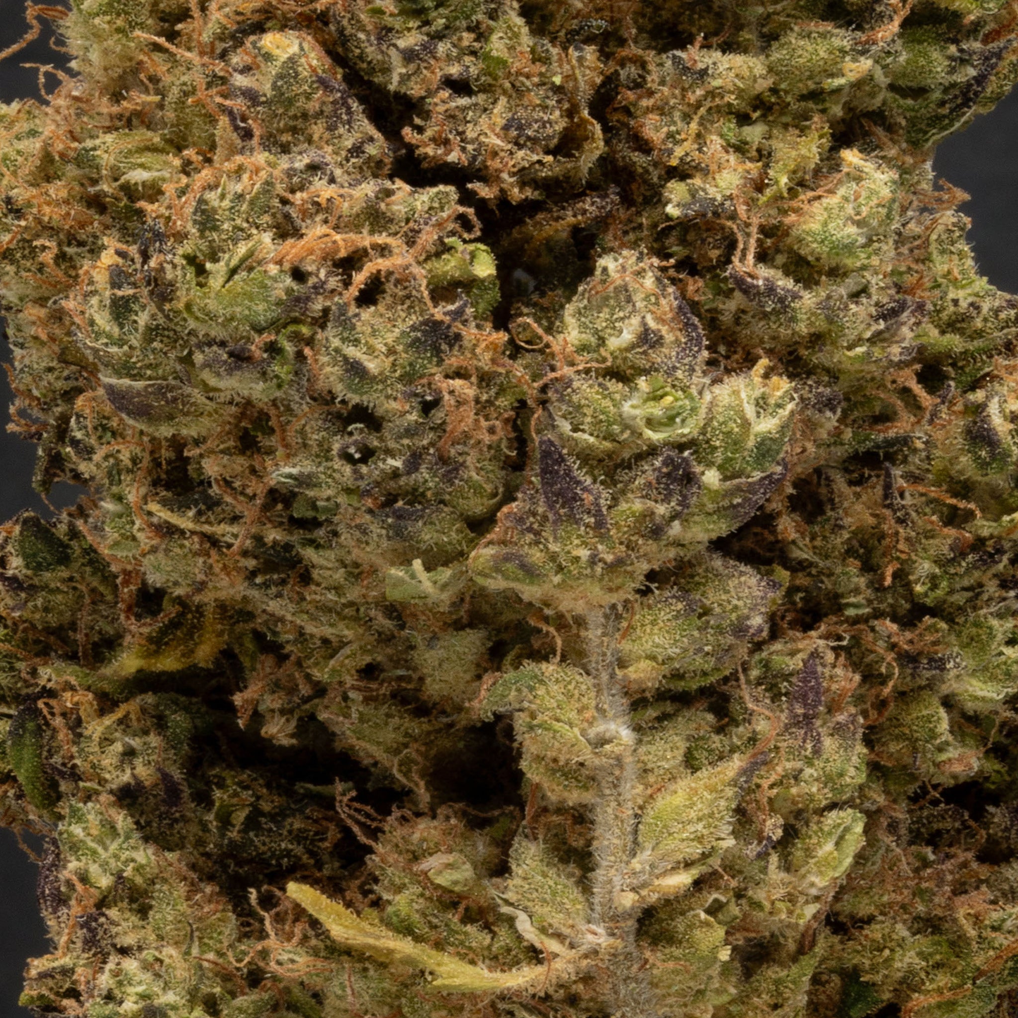 THCA Danmark, thca køb, find weed shop din cannabis nordicweed, thca hash, thca topskud