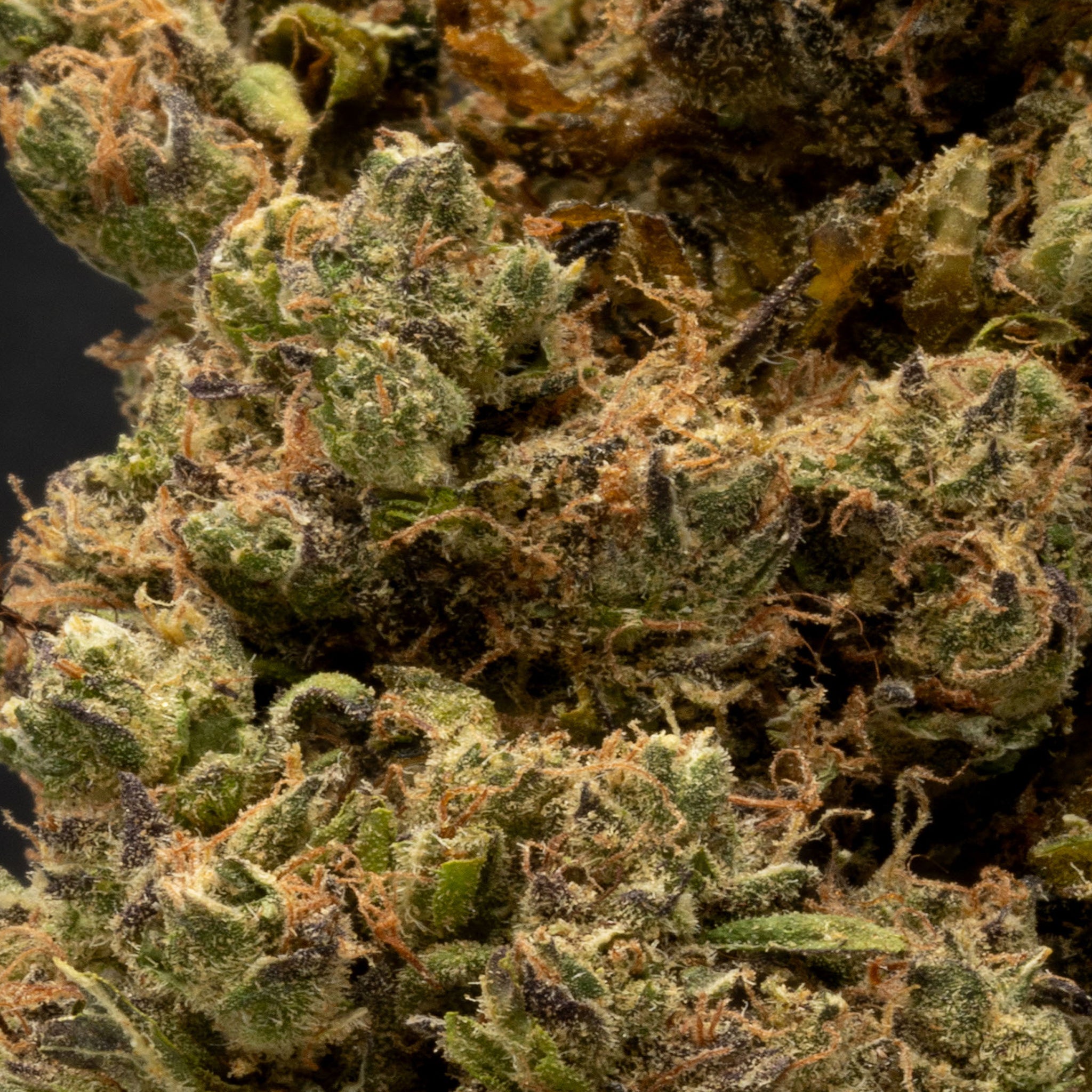 THCA Danmark, thca køb, find weed shop din cannabis nordicweed, thca hash, thca topskud
