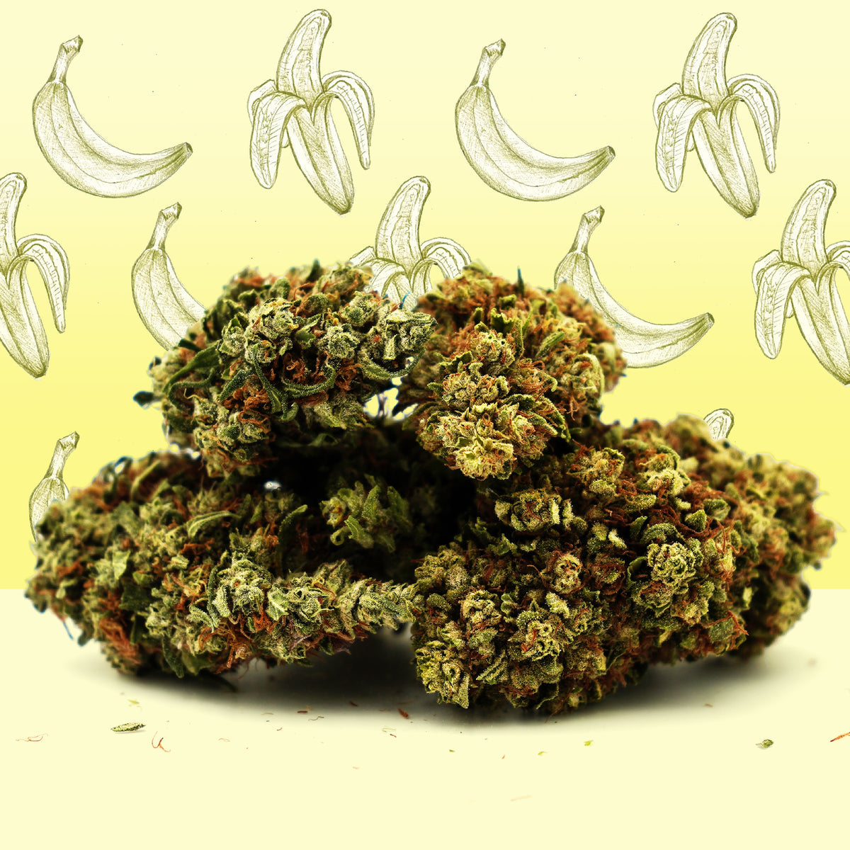Banana Kush - CBD - NordicWeedcannabis, lovlig hash, lovlig skunk, køb hash online