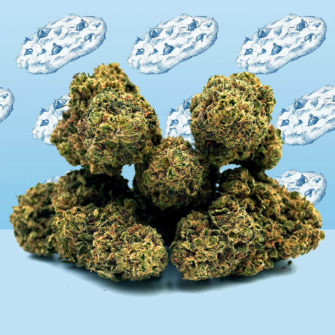 Cookie Kush - CBD - NordicWeedcannabis, lovlig hash, lovlig skunk, køb hash online