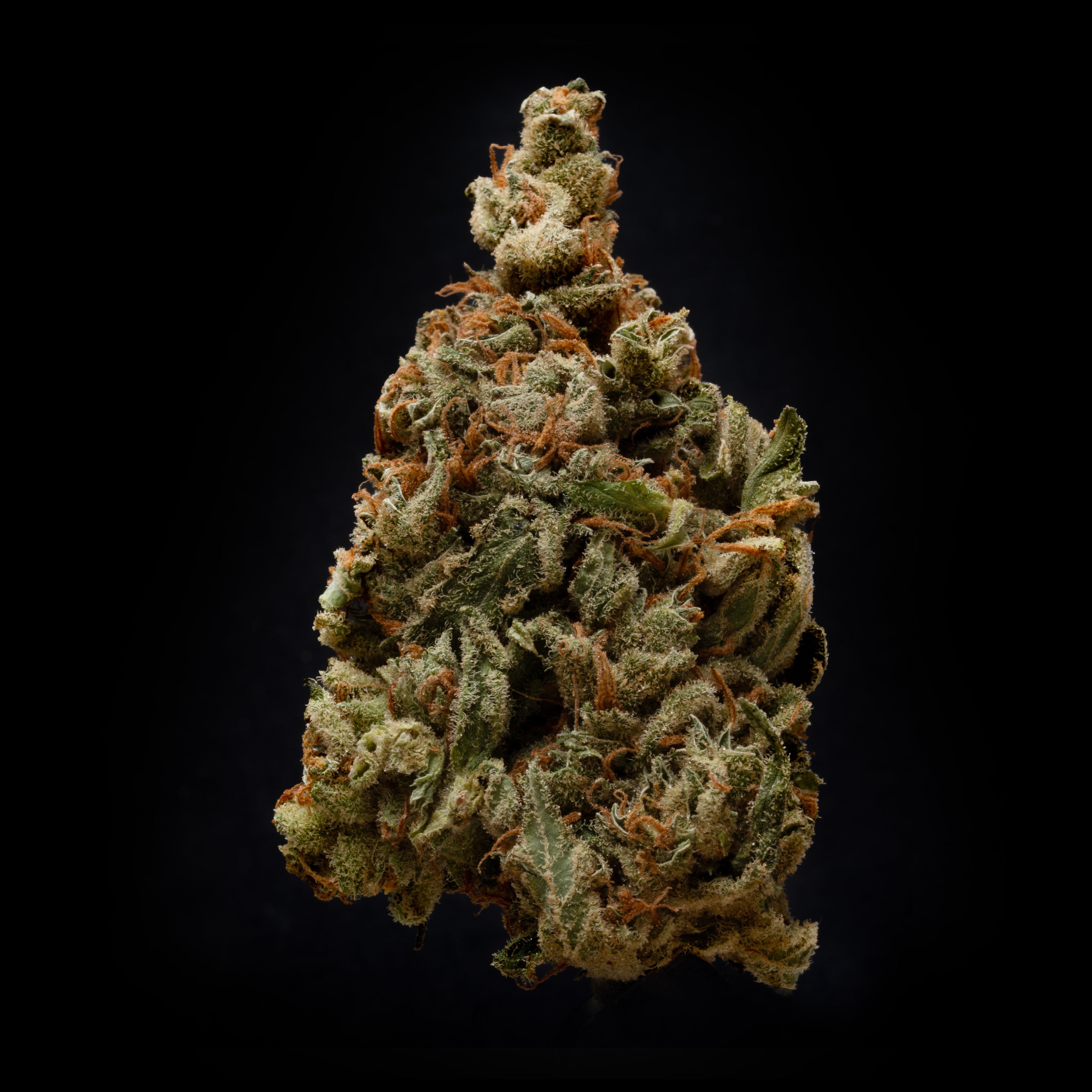 thca topskud i Danmark