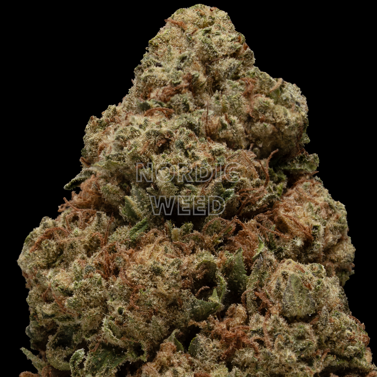 Berry Gelato - 27% THCA