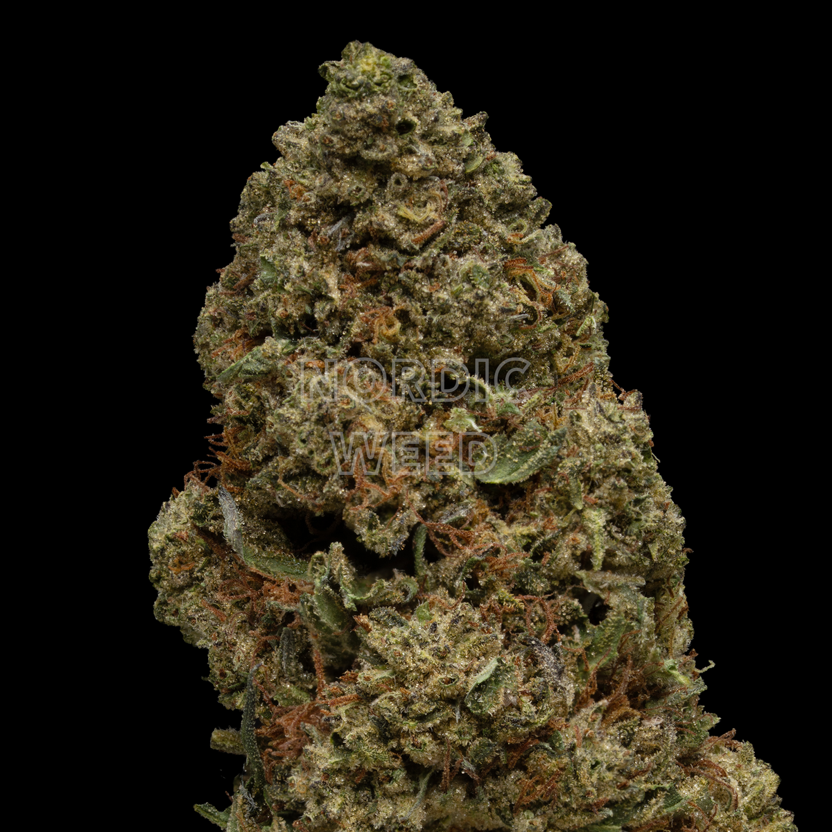 Tangie - 26% THCA