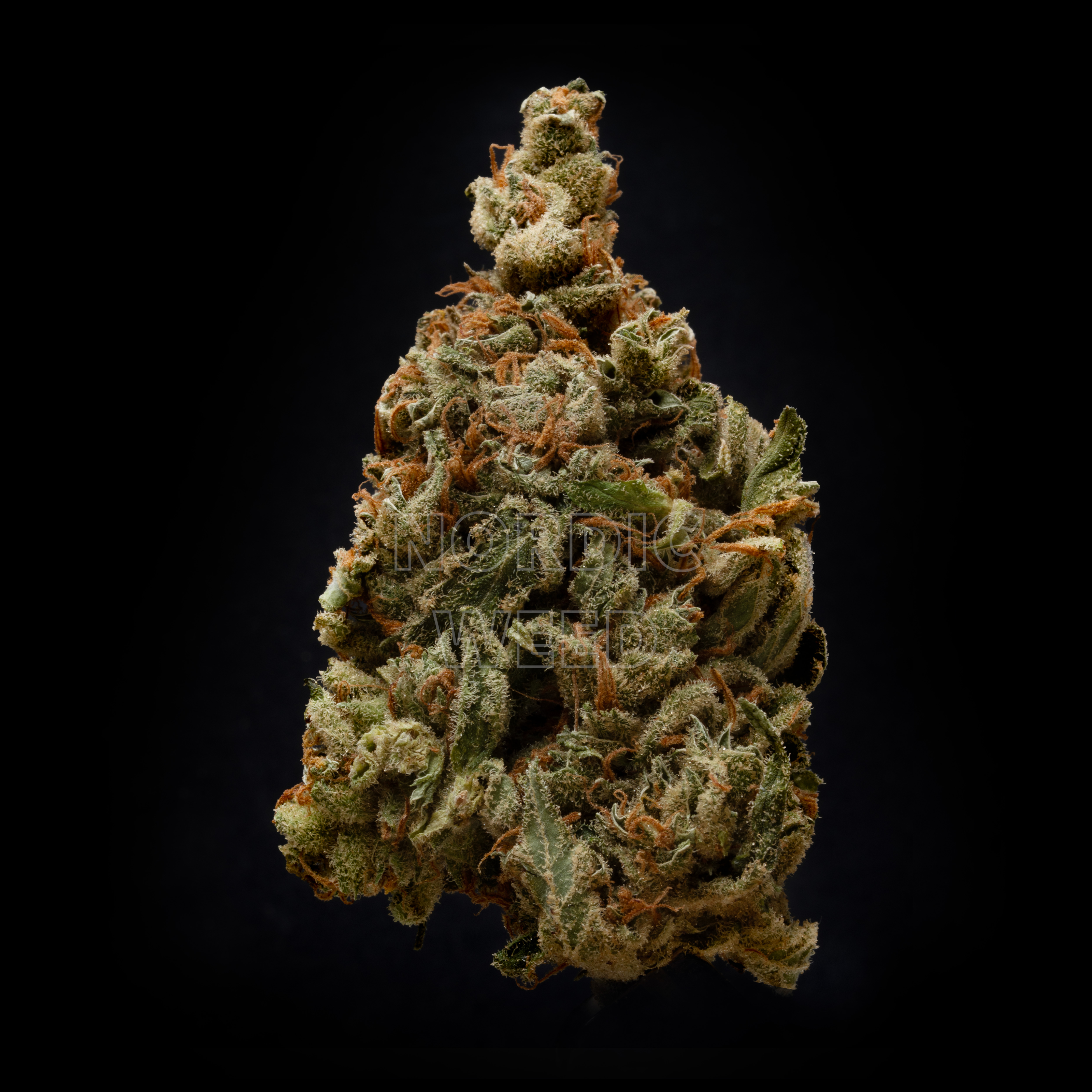 thca topskud danmark thca