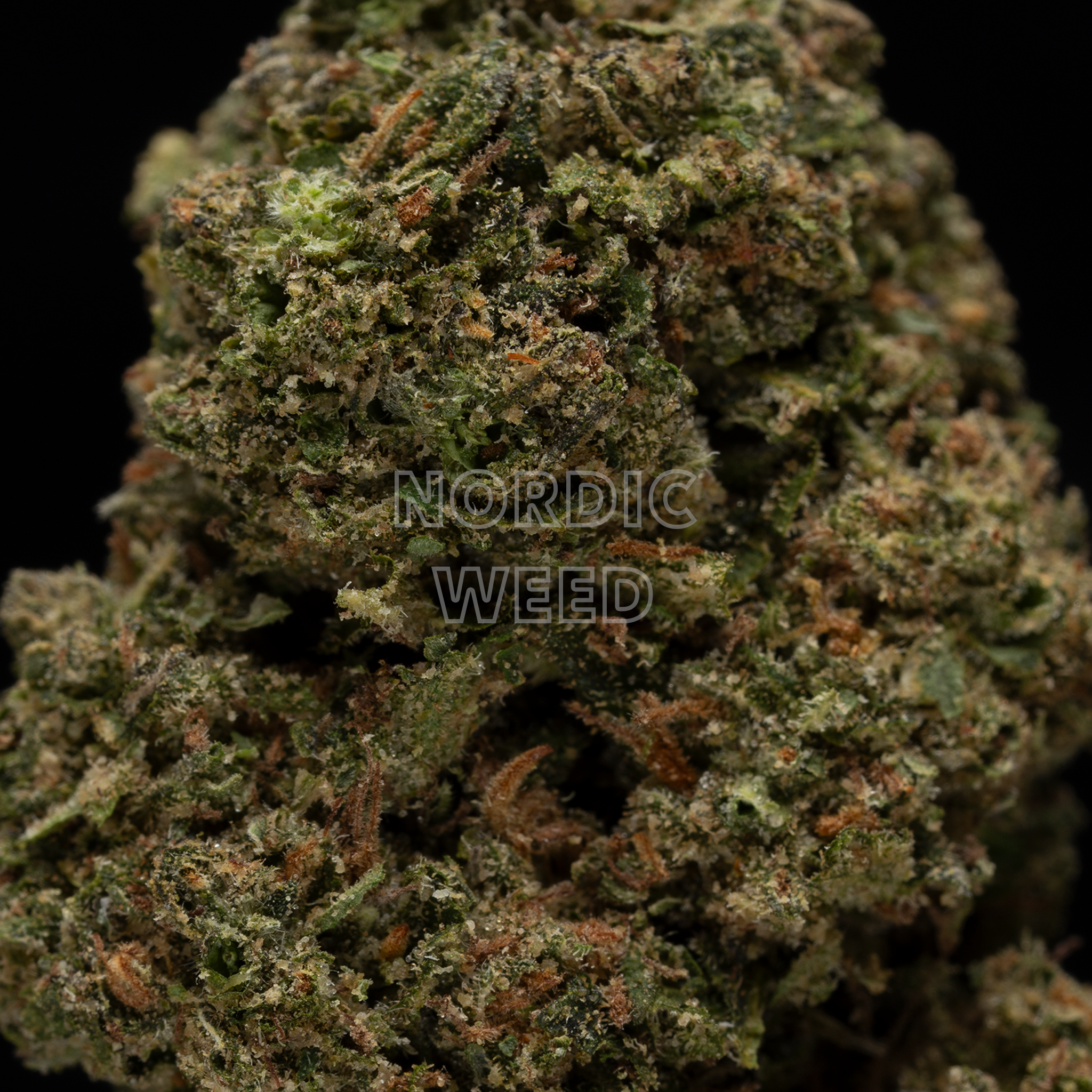 Grapple Pie - 22.5% THCA