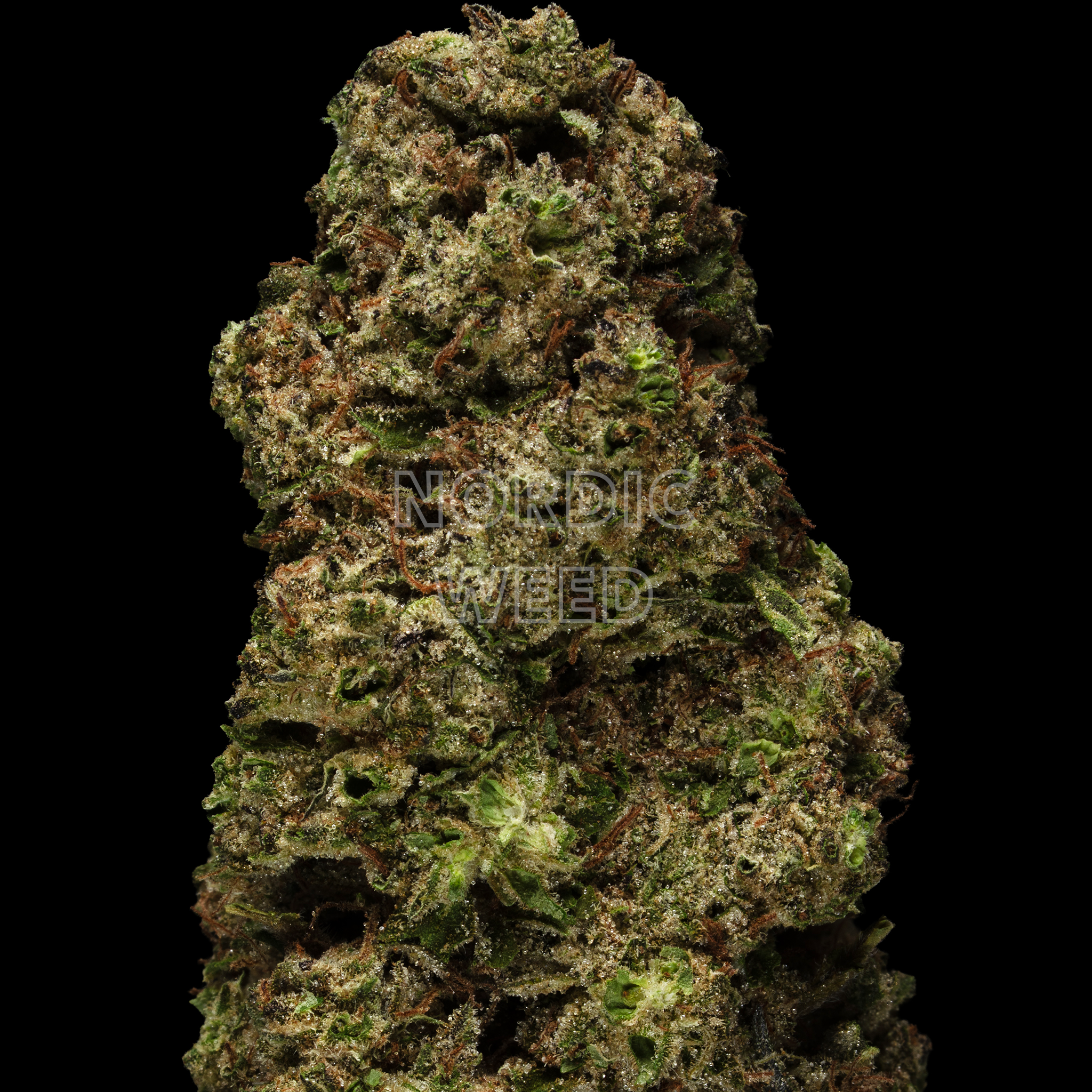 Hash burger - 28.5% THCA