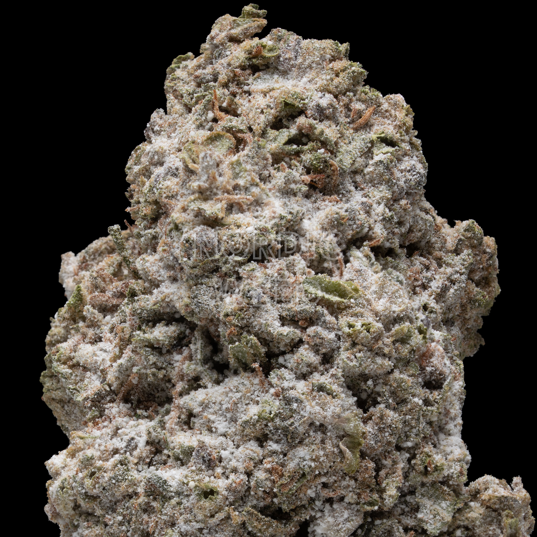 Royal Haze - 25% THCA