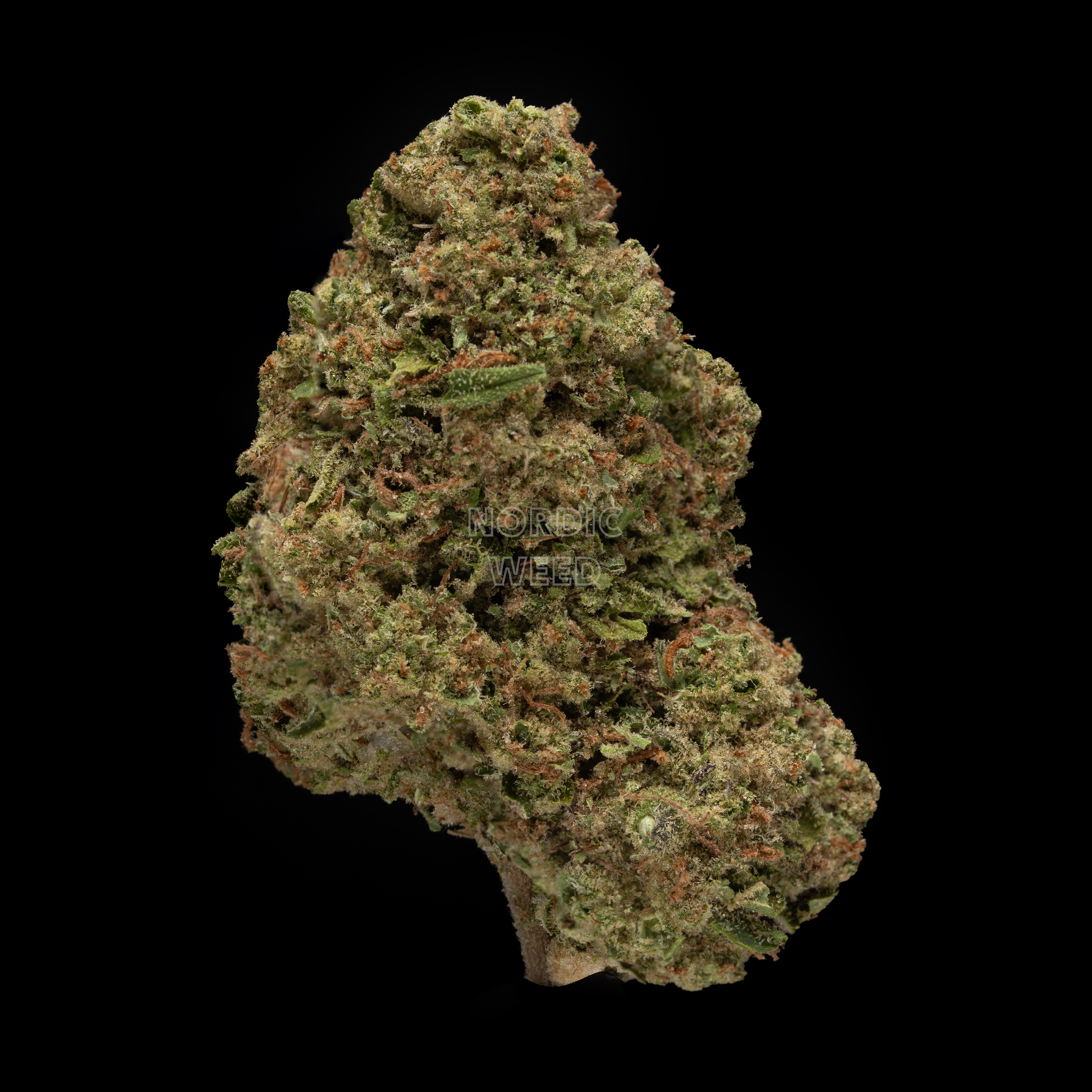 White Runtz - 27% THCA