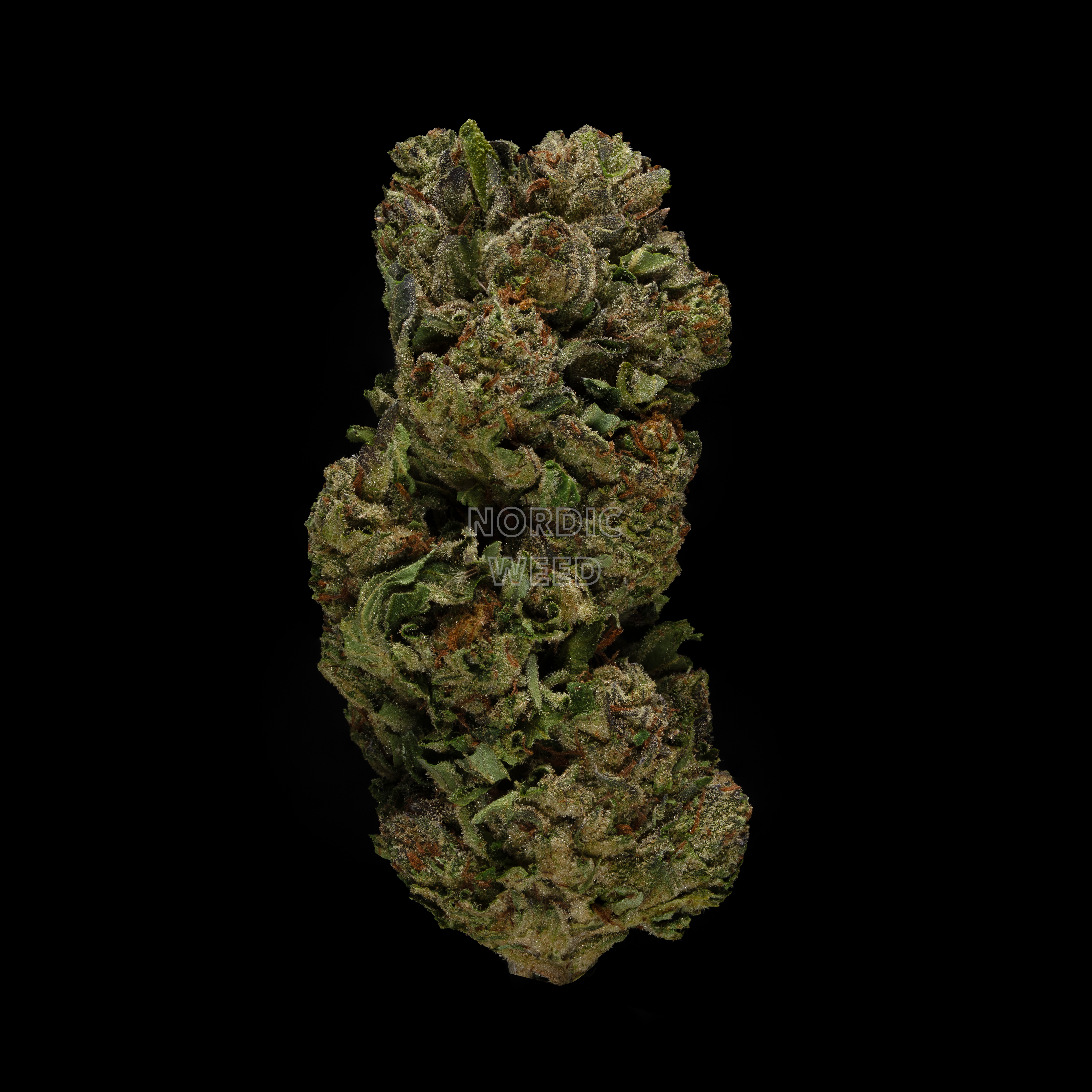 Gelato #41 - 27% THCA