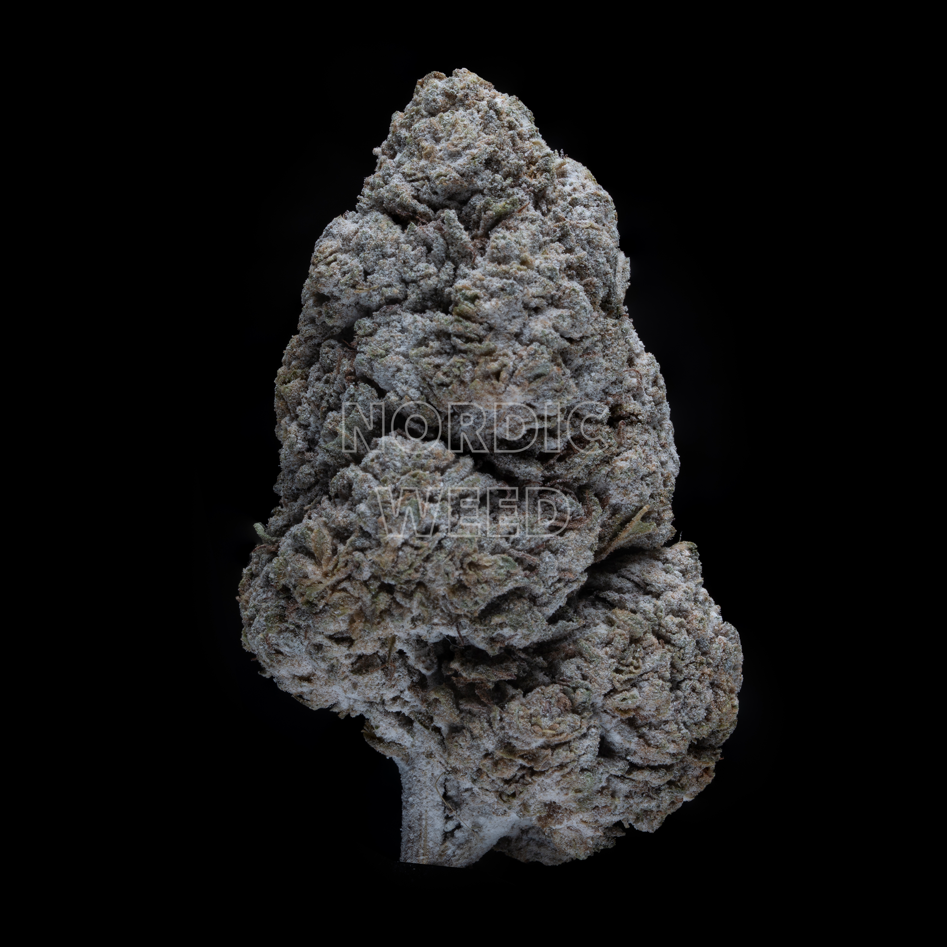 Orangecello- 25% THCA